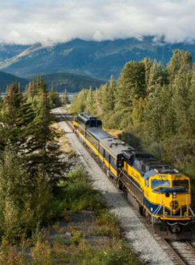 This image shows that the Alaska Railroad offers a scenic and relaxing way to explore the beauty of Alaska. The photo captures the train winding through lush forests and along coastal routes, with panoramic windows providing stunning views of mountains, rivers, and wildlife. Traveling on the Alaska Railroad allows visitors to take in Alaska’s vast wilderness comfortably. It’s a great way to see the state's diverse landscapes, from glaciers to forests, while learning about the history and natural wonders of the region.