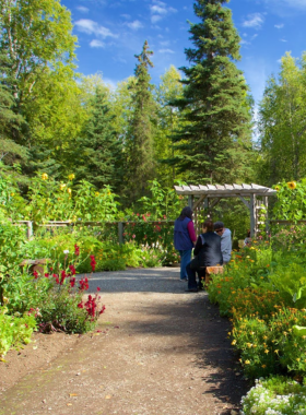 This image shows that the Alaska Botanical Garden is a serene escape in Anchorage, featuring a wide variety of plants, including wildflowers, native species, and stunning birch forests. The photo captures the beauty of the garden’s trails, with vibrant flowers and lush greenery. It’s a peaceful spot for visitors to enjoy nature, take a relaxing walk, and appreciate the beauty of Alaska’s flora. The garden is a wonderful place for photographers, nature lovers, and anyone looking for a tranquil retreat in Anchorage.