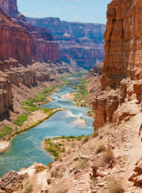 "This image shows a scenic walk along the Rim Trail, a leisurely route that follows the south rim of the Grand Canyon. The trail offers stunning views of the canyon with several scenic overlooks where visitors can stop to take in the views. The flat, easy terrain makes it accessible for people of all fitness levels, making it a great way to explore the Grand Canyon at a relaxed pace while still experiencing its beauty and awe-inspiring landscape."