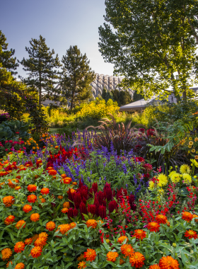 This image shows the lush and vibrant gardens at the Denver Botanic Gardens, featuring a variety of plant species, colorful flowers, and beautifully landscaped pathways. The peaceful environment invites visitors to explore the different themed gardens such as the Japanese Garden and tropical conservatory. The serene setting provides a relaxing atmosphere for nature lovers and those seeking tranquility in the heart of Denver. It is the perfect spot for a leisurely stroll and to enjoy nature's beauty.