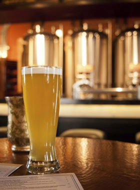 This image shows a vibrant Denver brewery tour, where visitors can sample various local craft beers while learning about the brewing process. The image features a group of friends enjoying a pint in a cozy brewery, surrounded by tanks and barrels. Denver is known for its thriving craft beer scene, and this tour offers a chance to discover some of the city's best breweries, learn about local brewing traditions, and enjoy fresh, flavorful beers in a relaxed, friendly environment.