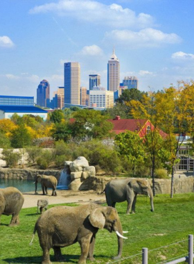 This image shows the lively Denver Zoo, with visitors enjoying their time while observing a wide variety of animals, including lions, elephants, and colorful birds. The zoo’s naturalistic exhibits provide an engaging and educational experience for families and animal lovers alike. Beautifully landscaped with gardens and outdoor spaces, the zoo offers a perfect combination of fun, learning, and wildlife appreciation. Whether you're watching an animal show or walking through the exhibits, it’s an exciting place to spend time in Denver.