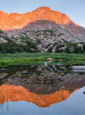 This image shows the stunning Rocky Mountain National Park, featuring vast open meadows, towering peaks, and crystal-clear alpine lakes. It’s a popular spot for hiking, wildlife watching, and scenic drives. Visitors can enjoy a range of outdoor activities, from exploring the beautiful trails to taking photographs of the majestic mountain scenery. The park offers incredible views of nature’s untouched beauty, making it the perfect day trip for anyone looking to experience the splendor of Colorado’s wilderness near Denver.