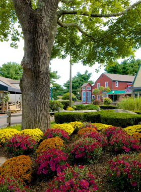 This image shows Olde Mistick Village, a quaint shopping center designed to resemble an 18th-century village. Visitors can stroll along cobblestone paths, exploring charming shops and enjoying seasonal decorations. It’s a picturesque, whimsical place to shop for handmade crafts, enjoy local treats, and soak in the fairytale-like atmosphere. This peaceful village offers a magical experience for all ages, with something special around every corner.