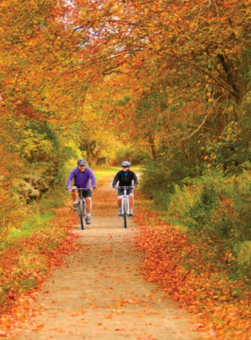 This image shows Haley Farm State Park, a peaceful state park offering walking trails, open fields, and fresh air. It’s an ideal spot for hiking, jogging, or having a quiet picnic surrounded by nature. Whether you’re looking for a morning hike or a relaxing moment in the outdoors, the park provides a serene environment for visitors to connect with nature and enjoy a peaceful retreat.