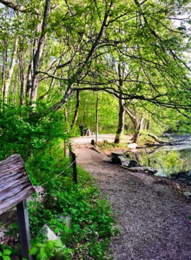 This image shows the Denison Pequotsepos Nature Center, a hidden gem for nature lovers. The center features beautiful trails for walking and opportunities to see local wildlife. Visitors can learn about conservation efforts and the region's natural beauty while enjoying the peaceful surroundings. It’s an ideal spot for anyone looking to deepen their connection with nature and explore the great outdoors in a tranquil setting.