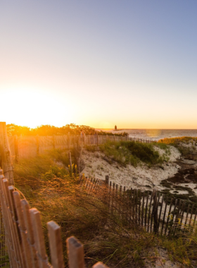 4. Explore Cape Henlopen State Park This image shows that Cape Henlopen State Park in Delaware offers beautiful landscapes with sandy beaches, wooded trails, and scenic views. Visitors can be seen walking, biking, or hiking through the park’s trails, surrounded by nature’s beauty. The park is perfect for outdoor lovers, offering plenty of activities such as picnicking, wildlife watching, and exploration.