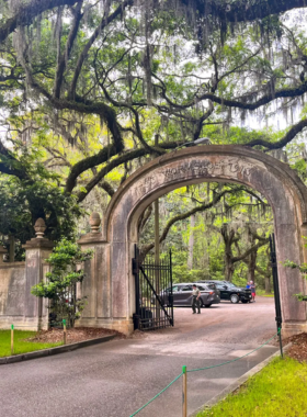 This image shows the iconic oak-lined avenue leading up to the ruins of the colonial-era Wormsloe Historic Site in Savannah. The towering oak trees with their draping Spanish moss create a picturesque scene, perfect for a peaceful stroll. The historic site offers visitors the chance to explore nature, enjoy a picnic, and learn about the history of Savannah, making it a beautiful and relaxing destination in the city.