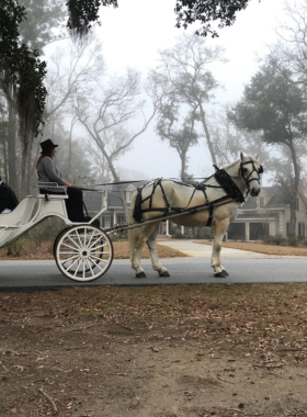 This image shows a historic carriage tour in Savannah, where visitors ride in a charming horse-drawn carriage, exploring the city’s rich history and landmarks. The guide shares captivating stories about the city’s past, from its founding to the civil war and beyond. The carriage ride offers a relaxed and unique way to see the city's historic architecture, gardens, and squares, making it a memorable experience for visitors of all ages.