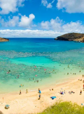 This image shows that Hanauma Bay Nature Preserve is a protected marine area known for its vibrant coral reefs and diverse marine life. The bay, formed in an ancient volcanic crater, is one of Hawaii's top snorkeling destinations. Visitors can experience clear blue waters, colorful fish, and abundant marine life in a beautiful and tranquil setting, all while learning about conservation efforts to preserve the area’s unique ecosystem.