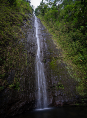 This image shows that Manoa Falls is a breathtaking 150-foot waterfall nestled in the lush rainforest of Oahu. The short, scenic trail leading to the falls takes visitors through dense tropical foliage, offering a chance to experience the island’s natural beauty up close. The waterfall, set against a backdrop of misty mountains, is a perfect spot for nature lovers and those seeking a peaceful, scenic hike in Hawaii’s beautiful landscapes.