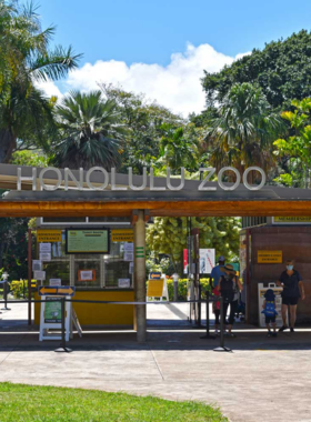 This image shows that the Honolulu Zoo is home to over 900 animals from around the world, including native Hawaiian species. Located in Queen Kapiolani Park, the zoo provides a fun and educational experience for all ages. Visitors can see exotic wildlife, learn about conservation efforts, and explore different habitats, making it an enjoyable stop for families. The zoo’s mission to protect and conserve wildlife is evident in its exhibits and programs.