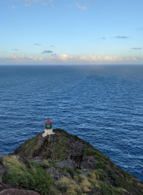 This image shows that the Makapu’u Point Lighthouse Trail offers one of the most scenic hikes in Honolulu. The trail leads visitors to the historic Makapu’u Lighthouse, offering breathtaking views of the Pacific Ocean, Oahu’s coastline, and the nearby island of Moloka’i. On clear days, you can even spot whales migrating through the waters. It’s an easy hike with magnificent vistas and is a must-visit for nature lovers and photography enthusiasts.