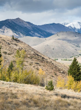 This image shows that Adams Gulch Loop is a scenic hiking trail in Sun Valley, ideal for a moderate hike amidst breathtaking nature. The trail offers stunning views of Sun Valley's rolling hills, aspen groves, and nearby mountains. The trail’s peaceful ambiance and natural beauty make it perfect for hikers seeking a more relaxed outdoor adventure. This trail is accessible year-round and provides a wonderful opportunity to experience the stunning landscape of Sun Valley while getting in some outdoor exercise.