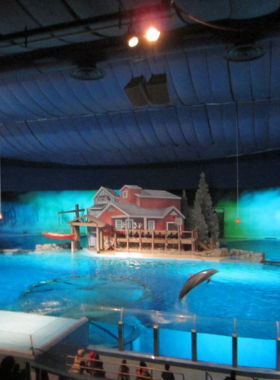 This image shows the captivating Dolphin Pavilion at the Indianapolis Zoo. Visitors can interact with dolphins and watch them perform exciting tricks during live shows. The pavilion features clear glass walls allowing visitors to observe the dolphins up close while they swim and play. The Indianapolis Zoo is home to a wide variety of animals and educational exhibits, making it a perfect destination for families. The zoo is renowned for its commitment to wildlife conservation and offers visitors an unforgettable experience.