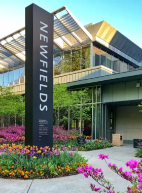 This image shows Newfields, the cultural campus that houses the Indianapolis Museum of Art, beautifully surrounded by lush gardens. Visitors can explore the museum’s extensive collection of classical and contemporary artworks, ranging from paintings to sculptures. The expansive gardens provide a peaceful retreat, while seasonal events like Winterlights add an enchanting touch to the campus. The museum is a great place for art lovers to discover and appreciate art while also enjoying the beauty of nature in one of Indianapolis' most iconic cultural spots.