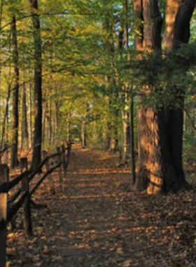 This image shows Eagle Creek Park in Indianapolis, a beautiful natural oasis that offers outdoor activities like hiking, kayaking, and fishing. The park is a large green space with tranquil lakes, forests, and walking trails, making it a perfect destination for nature lovers. Visitors can explore the vast park by bike or on foot, enjoying the peaceful atmosphere and scenic views. For those seeking adventure, the park also offers zip-lining and other thrilling outdoor activities. It’s an ideal spot for families and outdoor enthusiasts to enjoy nature close to the city.