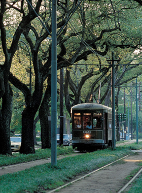 This image shows the historic St. Charles Avenue streetcar gliding along the oak-lined streets of New Orleans. The streetcar, one of the oldest in the world, offers a scenic ride through one of the city’s most beautiful areas, past mansions, gardens, and landmarks like Audubon Park. It’s a peaceful and budget-friendly way to explore the city while taking in its charm.