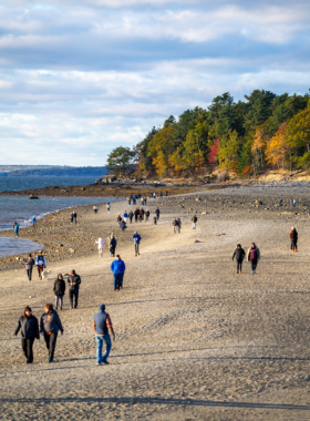 This image shows the natural sandbar connecting Bar Harbor to Bar Island, revealed at low tide. Walking across the ocean floor to reach the island is a unique adventure, but it’s important to time the visit with the tide, as it can return quickly. The image showcases the exciting opportunity for visitors to experience the thrill of walking across the ocean, exploring a hidden gem when the tide is low.