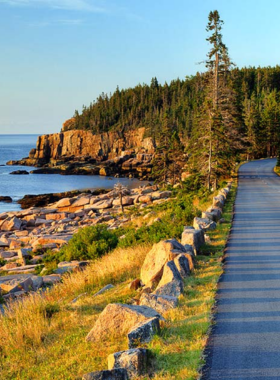 This image shows a scenic view of the Park Loop Road in Acadia National Park, offering visitors a 27-mile drive through rugged coastlines, lush forests, and panoramic viewpoints. Passing by popular spots like Sand Beach and Thunder Hole, this road offers a fantastic introduction to the park’s beauty. Whether driving or biking, the experience provides an immersive look at the park’s natural splendor and diverse landscapes.