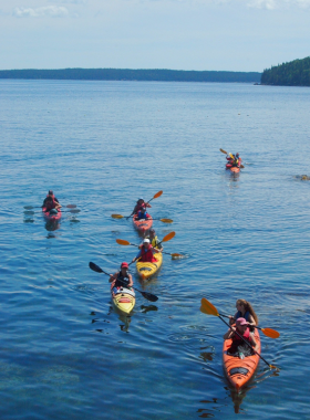 This image shows a serene kayaking experience in Frenchman Bay, where visitors can paddle along the rocky coast, spotting seals and eagles as they go. The tranquil waters and stunning natural scenery create an unforgettable adventure, ideal for those looking to connect with nature. Kayaking is a peaceful way to explore the area, offering breathtaking views of the surrounding cliffs and islands.