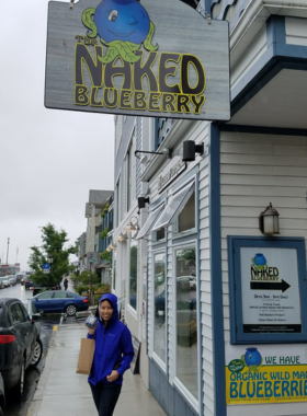 This image shows a scoop of wild Maine blueberry ice cream served in a waffle cone, a popular treat in Bar Harbor. Made with fresh, local blueberries, the ice cream captures the sweet, tangy flavor of Maine’s famous fruit. The image shows the colorful, creamy treat, perfect for a refreshing break while exploring Bar Harbor’s shops or after a day of outdoor adventures.