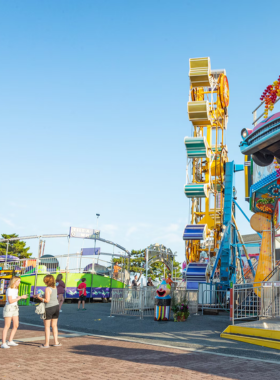 This image shows visitors enjoying a ride on the Ferris wheel at Trimper’s Rides in Ocean City. The colorful wheel stands tall, offering breathtaking panoramic views of the beach, boardwalk, and ocean in the distance. The bright lights on the wheel make it especially picturesque at night, as families and thrill-seekers take in the ride. Trimper’s Rides, an iconic amusement park, provides a fun-filled experience with nostalgic charm and modern thrill rides for everyone."