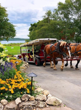 This image shows a horse-drawn carriage making its way through the charming streets of Mackinac Island. The carriage ride offers visitors a chance to explore the island’s historic sites, including Fort Mackinac, Arch Rock, and Victorian-era homes. The tour is an excellent way to experience the natural beauty and rich history of the island while relaxing in a horse-drawn carriage. The picturesque views and calm pace make it a memorable experience for visitors of all ages.