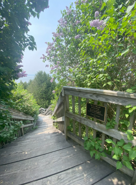 This image shows a group of hikers exploring one of the many trails on Mackinac Island. The island features a variety of hiking trails that lead through lush forests, across scenic overlooks, and along the island’s rugged coastline. Hikers can enjoy the peaceful surroundings, the beauty of nature, and a chance to spot local wildlife. With trails suitable for all fitness levels, hiking is an excellent way to explore Mackinac Island’s natural charm.