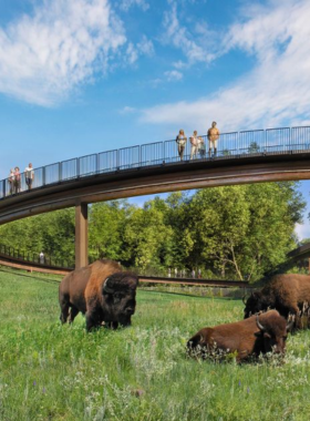 This image shows the Stone Arch Bridge, a historic pedestrian bridge in Minneapolis that spans the Mississippi River. The bridge offers beautiful views of the city skyline and the river, making it a favorite spot for walking, biking, and photography. The bridge, built in the 1880s, is an architectural marvel and provides a scenic and peaceful route between the downtown area and the riverfront. It’s a must-visit location for anyone exploring Minneapolis.