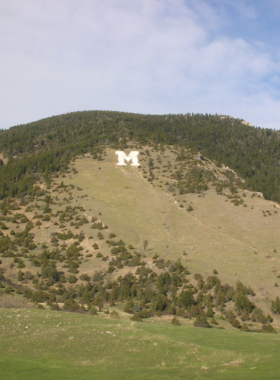 This image shows hikers making their way up the "M" Trail in Bozeman, Montana. The trail winds through rugged terrain with golden grasses and scattered pine trees, leading to a large white "M" on the mountainside, which symbolizes Montana State University. Some hikers are taking a break to admire the panoramic view of Bozeman’s valley below. The sky is clear blue, and the late afternoon sun casts a golden glow over the landscape, making the scene picturesque and inviting.