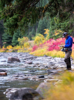 This image shows a fisherman standing knee-deep in the clear waters of the Gallatin River, casting his fishing line. The river flows gently through a valley surrounded by tall evergreen trees and rugged mountain slopes. The sky is a mix of soft blues and oranges, indicating early morning or late afternoon. A wooden cabin is visible in the background, adding to the peaceful and scenic beauty of the location.