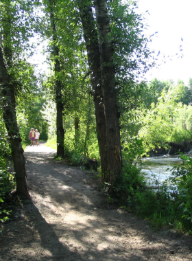 This image shows a peaceful walking trail at Glen Lake Rotary Park. A dirt path winds through lush greenery, with benches placed along the way. The lake in the background reflects the blue sky, and a few kayakers can be seen paddling. Birds are flying overhead, and a wooden footbridge adds a charming touch to the serene landscape.