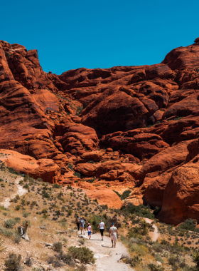 This image shows that Red Rock Canyon, located just outside of Las Vegas, offers a stunning natural escape for visitors looking to experience the beauty of the desert landscape. The canyon features dramatic red sandstone formations, winding hiking trails, and diverse wildlife. Whether you’re an experienced hiker or a beginner, there are trails suitable for every level. The area is perfect for those wanting to enjoy the outdoors and take in the peaceful desert surroundings while exploring the breathtaking views of the canyon.