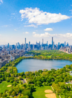 This image shows the lush greenery and tranquil waters of Central Park, offering a peaceful escape from the busy streets of New York City. The lake reflects the surrounding trees and the blue sky, creating a stunning natural setting. In the distance, visitors can be seen paddling in small rowboats, enjoying a quiet moment on the water. The famous Bow Bridge, an elegant cast-iron bridge with a graceful arch, spans across the lake, adding to the charm of the scene. Joggers and cyclists are seen along the paved pathways, while others are sitting on benches, soaking in the serene atmosphere. The park’s carefully designed landscape includes rolling meadows, tall trees, and winding trails that invite visitors to explore. Central Park, created in 1858, remains an essential part of New York life, providing relaxation and recreation for locals and tourists alike. This image perfectly captures the park’s beauty and its role as the city’s green oasis.