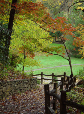 This image shows a peaceful pathway in the Botanical Gardens at Asheville, surrounded by vibrant wildflowers, tall trees, and a small creek flowing through the lush greenery. Wooden benches are placed along the trail, inviting visitors to sit and enjoy the serene natural beauty. Birds and butterflies can be seen among the plants, creating a relaxing atmosphere for nature lovers.