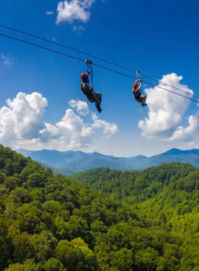 This image shows an exciting ziplining adventure at Navitat Canopy Tours, with a person gliding through the treetops of the Blue Ridge Mountains. The zipline is stretched between tall trees, offering breathtaking views of the dense forest below. The thrill-seeker is wearing a safety harness and helmet, enjoying the adrenaline rush of flying through nature.