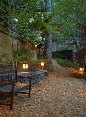 This image shows a tranquil outdoor hot tub at Shoji Spa & Retreat, surrounded by dense forest and misty mountain air. A person is seen soaking in the steaming water, enjoying the peaceful atmosphere. Wooden Japanese-inspired architecture adds to the serene setting, providing a perfect escape for relaxation, meditation, and rejuvenation in nature.