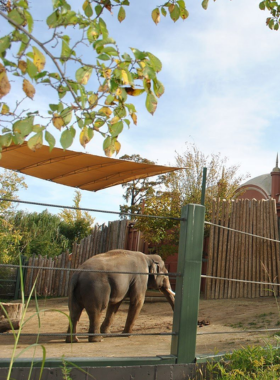 This image shows the Cincinnati Zoo & Botanical Garden, one of the oldest and most popular zoos in the U.S. It features a variety of animals, including the famous hippo, Fiona, along with lions, giraffes, and penguins. The zoo is filled with lush greenery, peaceful botanical gardens, and scenic walking paths that create a relaxing yet adventurous experience. Visitors can be seen enjoying animal encounters, feeding giraffes, and watching live demonstrations like the cheetah run. Families, couples, and solo travelers love this destination for its mix of wildlife, education, and entertainment.