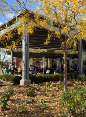 This image shows Washington Park, a beautifully restored urban green space in the heart of Cincinnati’s Over-the-Rhine district. The park is surrounded by historic architecture and features an expansive lawn, a charming interactive water fountain where children play, a dedicated dog park, and an outdoor stage for live performances. Locals and tourists gather here to relax, sip coffee, enjoy yoga classes, and experience cultural events. During winter, the park transforms into a festive holiday market, adding a magical touch to the city. It’s a vibrant community hub where nature, history, and entertainment blend seamlessly.