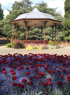 This image shows Belle Vue Park in Newport, a Victorian-style green space with winding pathways, colorful flower beds, and a charming tea room. The park is a favorite spot for families, joggers, and dog walkers. The beautifully landscaped gardens provide a perfect escape from the city, offering a quiet and relaxing environment. Visitors can enjoy a peaceful stroll, sit on benches surrounded by nature, or have a picnic on the open lawns.