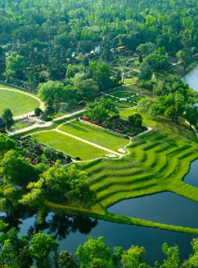 This image shows Middleton Place in Charleston, known for its beautifully preserved gardens, which are the oldest landscaped gardens in the U.S. The image highlights the vibrant flowers, ornamental trees, and elegant garden paths, inviting visitors to explore its natural beauty. The house, which dates back to the 18th century, is visible in the background, offering a glimpse into the history of the plantation. The serene atmosphere and scenic vistas make it an ideal place to relax and enjoy nature.