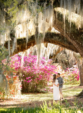  This image shows the beautiful Magnolia Plantation & Gardens in Charleston, showcasing vibrant flowers, lush greenery, and historic pathways. The plantation dates back to 1676 and offers visitors a look at America’s oldest gardens. The picturesque setting and tranquil atmosphere are perfect for a relaxing day, with scenic views of the swamp gardens, towering oak trees, and historic plantation house. Visitors can explore nature trails, enjoy the beauty of the flowers, and learn about the history of this iconic location.