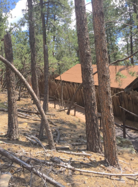 This image shows a group of visitors experiencing the bizarre gravitational anomalies at the Cosmos Mystery Area. A tilted wooden house stands in the background, where people appear to be leaning at impossible angles due to the strange forces at play. One person is pouring water, which seems to be flowing uphill, while another stands on a platform that makes them appear significantly shorter than someone standing right next to them. The mysterious environment and curious expressions on visitors’ faces highlight the fun and mind-bending nature of this optical illusion attraction.