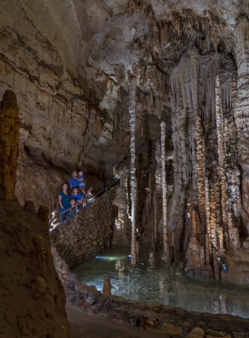 This image shows the breathtaking underground formations of the Natural Bridge Caverns, with towering stalactites and stalagmites illuminated by soft golden light. A group of tourists walks along the guided pathway, admiring the intricate rock formations that have formed over thousands of years. The massive cathedral-like chambers give a sense of adventure and mystery, making it a must-visit destination for explorers and nature lovers.