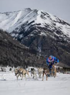 This image captures the excitement of dog sledding with Luna Lobos in Park City, showing a team of energetic huskies pulling a sled through a winter wonderland. The musher, dressed warmly, stands at the back, guiding the dogs as they dash through a snowy trail. Their breath is visible in the cold air, and their thick fur coats make them look built for adventure. The snow-covered landscape stretches into the distance, with mountains providing a majestic backdrop. In the foreground, a visitor leans back, enjoying the exhilarating ride. The dogs’ enthusiasm is clear as they charge forward, ears perked and tails wagging. The image perfectly captures the thrill of this once-in-a-lifetime winter adventure, blending nature, tradition, and an unforgettable connection with these incredible animals.