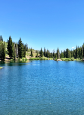 This image showcases the stunning Bloods Lake, a hidden alpine gem surrounded by lush greenery and towering mountains. A group of hikers reaches the lake’s edge, admiring the crystal-clear water reflecting the blue sky. The trail leading to the lake is visible in the background, winding through aspen groves that turn golden in autumn. Some visitors sit on large rocks, dipping their feet in the cool water, while others set up a picnic. The lake is known for its peaceful atmosphere, offering a rewarding end to the 2.8-mile hike. The image captures the natural beauty and tranquility of Bloods Lake, making it a must-visit destination for outdoor lovers.