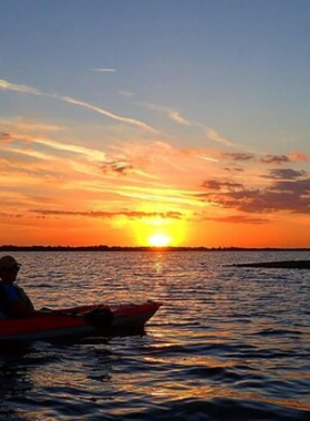 This image shows a peaceful sunset kayaking tour in Gulf Shores, with a kayaker paddling through calm waters. The sun is setting behind the horizon, casting a warm, golden hue across the water. Dolphins can be seen in the distance, adding to the tranquil beauty of the scene. This image reflects the relaxing and serene experience of kayaking at sunset, offering a unique way to appreciate the natural wonders of Gulf Shores.