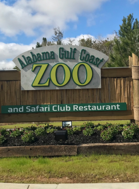 This image shows visitors interacting with animals at the Alabama Gulf Coast Zoo, including kangaroos and sloths. The zoo is beautifully landscaped, with lush greenery providing a natural environment for the animals. Families and children are seen petting and feeding the animals, creating a fun and educational experience for everyone. The image captures the charm and warmth of this small but unique zoo, emphasizing its intimate animal encounters.