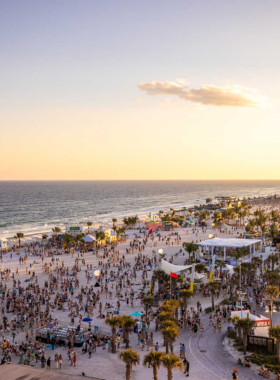 This image shows the lively and festive atmosphere of the Annual Shrimp Festival in Gulf Shores. Crowds gather to enjoy fresh shrimp, live music, and local arts and crafts. The scene captures families and friends savoring food, listening to live performances, and shopping for unique souvenirs. The vibrant colors and festive energy of the festival create an exciting and enjoyable experience for visitors.